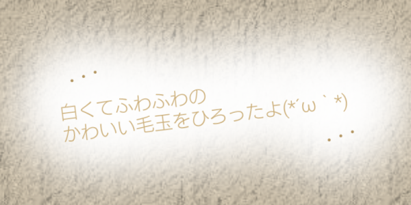 sketch-1700565281292